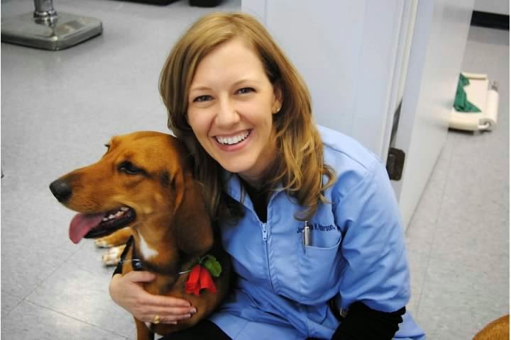 Tanglewilde Veterinary Clinic team with dog