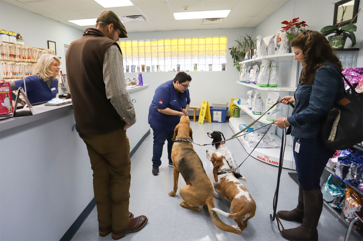Tanglewilde Veterinary Clinic team with dogs
